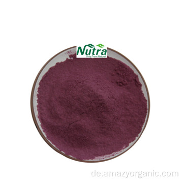 Reines Bio-Aronia-Extrakt-Pulver